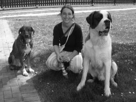 4 Pfoten der Wahrnehmung