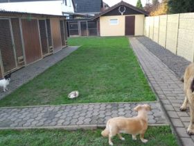 Hundezentrum Haus KaStMa