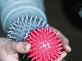 Hundephysio Ostsee - Physiotherapie und Bewegungstraining für Hunde - Isabelle Lamp-Greve