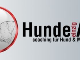 HundeArtig