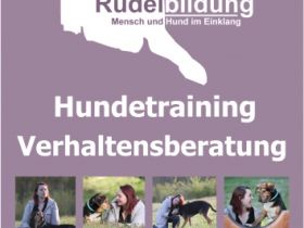 Rudelbildung-Mensch und Hund im Einklang