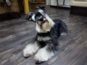 Diego- Max von den Breukers