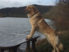 Vom Wildweibchenstein