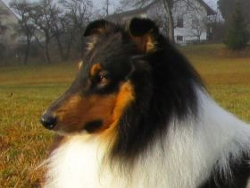 Santhos ( Itchy of Blue Shadow