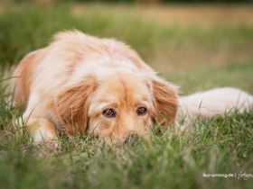 von den Flecker Schlossgeistern
