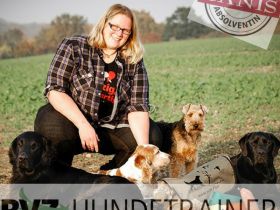 WahnsinnsHundetraining - Verhaltensberatung