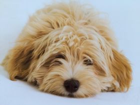 of heartbraking Arch