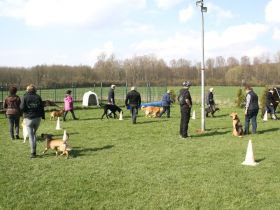 Hundeschule Duwensee