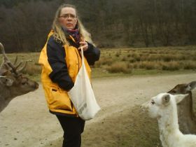 Tierheilpraktikerin Carmen Schiefer, mobile Praxis