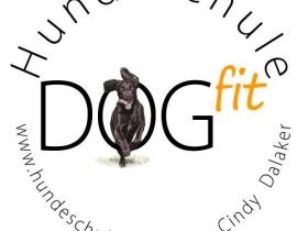 Hundeschule Dogfit