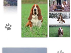 Anthony ze Srdce Brd