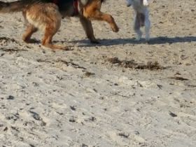 Earl von Haus Bischof