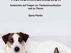 "Praxis für Tier und Mensch" Iljana Planke