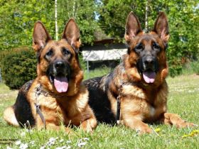 vom Nordpfälzer Bergland