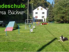 Hundeschule Andrea Büchner