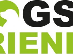 Hundeschule Dogs & Friends