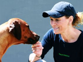 DO IT 4 DOGS - HUNDETRAINING MIT CARMEN PAUL