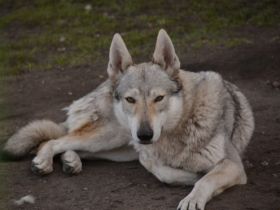 Z Granitowego Wzgórza