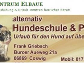 Hundezentrum Elbaue