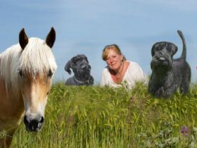 Awintaris tierisches Glück