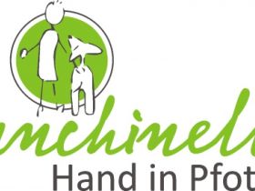 Punchinella - Hand in Pfote