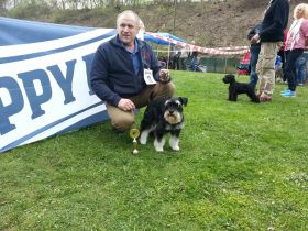 Attila vom Schlosstheater