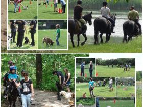 IG Familienhunde Halle Saale