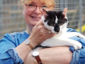 Stefanie Schult  Tierheilpraktikerin Praxis für klassische Tierhomöopathie & Katzenpsychologie