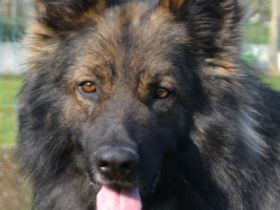 Ur Simply The Best From The Wolfpack