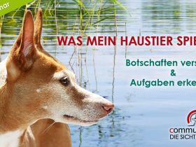 Was mein Haustier spiegelt: Botschaften verstehen & Aufgaben erkennen 06.06.25