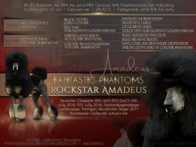 Multi Ch. Fantastic Phantoms RockStar Amadeus