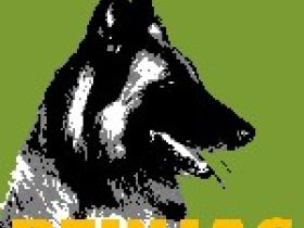 Reinjas Hundeschule - Mittelfrankens mobile Hundes