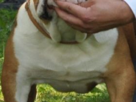 Wolfgang von der Teufelshöhle