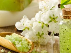 Tierheilpraxis Münzberg