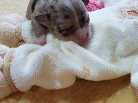 von Marin zu Grevesmühlen