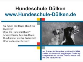 Hundeschule Dülken