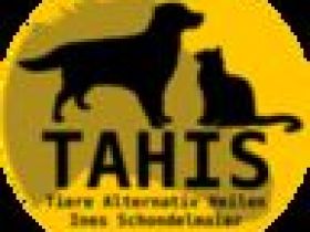 TAHIS - Physiotherapie für Hunde in Chemnitz und Umgebung