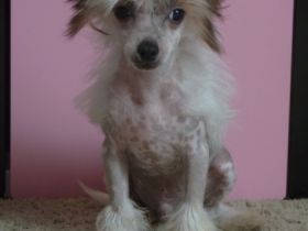 Fundoklia-völgyi Kaszanics