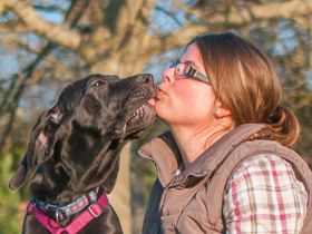 Teamwork hund mensch