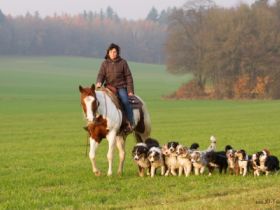 guardians of ayers rock