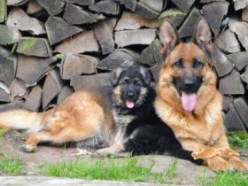 vom Schaumbergerland