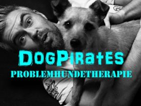 DogPirates Problemhundetherapie