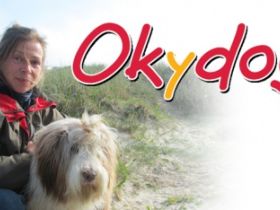 Okydogy Hundeschule & Verhaltensberatung