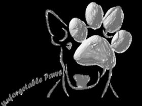 UNFORGETABLE PAWS