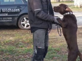 Dogs-Kuschelbude Ode Schreiber