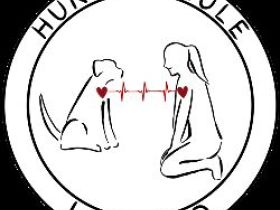 Hundeschule Lechfeld