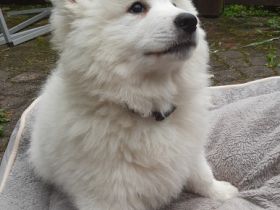 vom Bayerischen Rigi