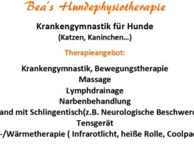 Bea' Hundephysiopraxis
