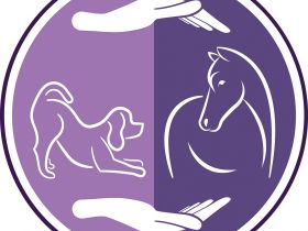 mobile Tierphysio/Lasertherapie  Monika Klotz