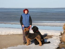 Aufnahme und Neuvermittlung von Hunden, die ihr Zuhause verlassen müssen